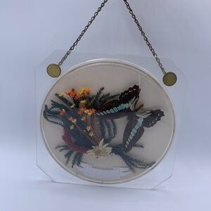 Vintage Int. Wondertage TSV 1862 Mossbach 1980 Taxidermy Butterfly Picture